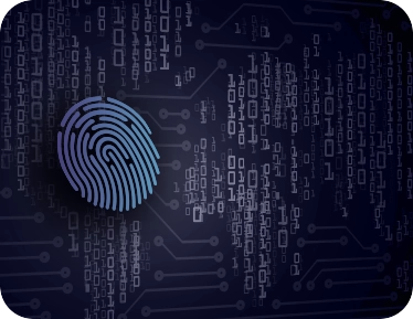 Go to Cyber Regulations