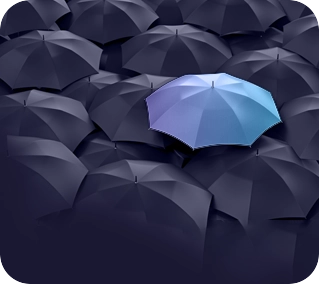 Go to Privacy and Data Protection