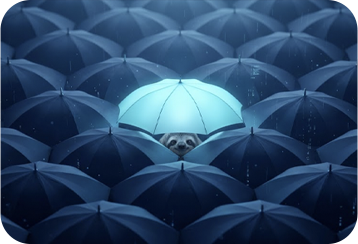 Go to Privacy and Data Protection